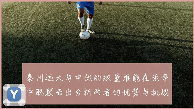 泰州远大与中优的较量谁能在竞争中脱颖而出分析两者的优势与挑战